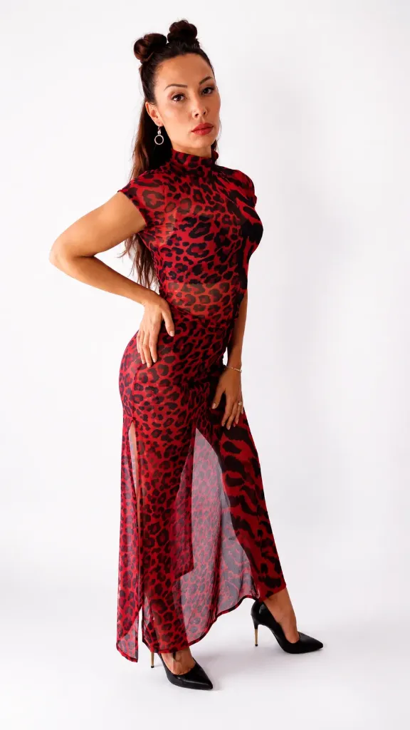 Japo Animal Mix (XS, Rojo)